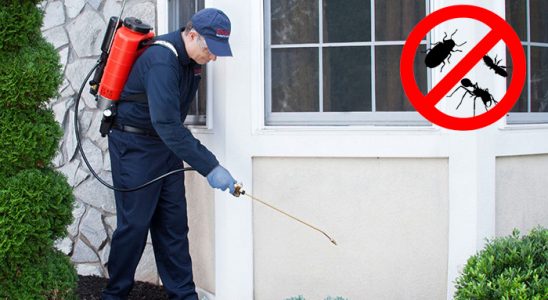 Ulaş Hamam Böceği İlaçlama böcek ilaçlama ve haşere kontrolü — ilaclama-tr.com